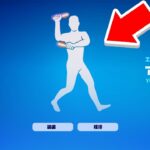 フォートナイトにガチでアイドルが来た…【フォートナイト / Fortnite】