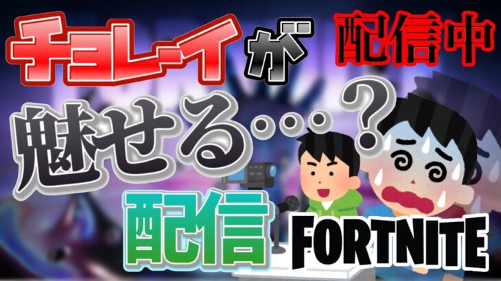 【フォートナイト】中東ソロキャッシュカップ予選からの練習　  #short #shorts #fortnite  #フォートナイト