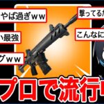 【火力最強】『コラテラルダメージAR』が強過ぎる件【フォートナイト/Fortnite】