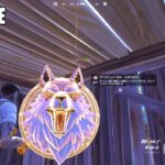 様々なメダリオンや恵みを収集する【フォートナイト Fortnite ゴールデンガンスリンガー】