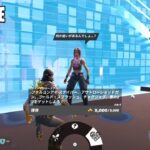 アウトローのキャラクターのデラックスなサービスを購入する【フォートナイト Fortnite】