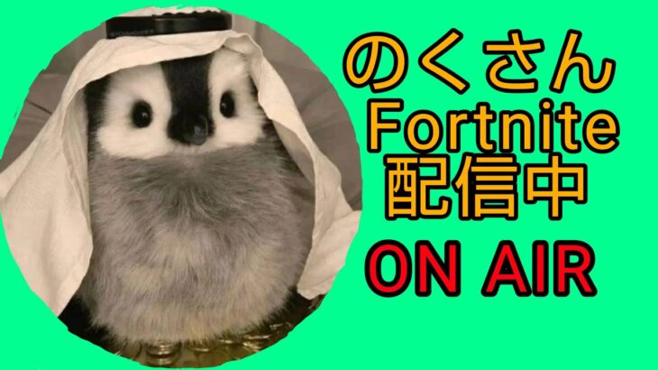 Fortnite配信コメント💬読みます