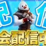 【Fortnite】ソロ大会　初見＆初心者歓迎