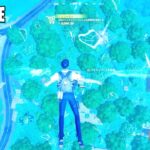 空中で一定距離を移動する【フォートナイト Fortnite C6S2W2】