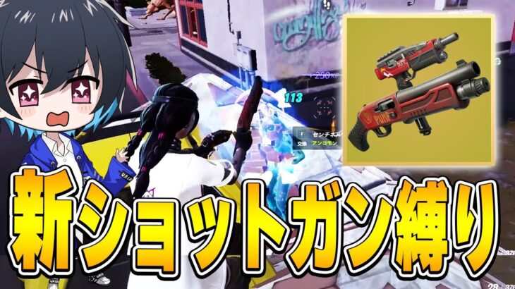 『SGとSMGが合体』した新武器１丁でソロランクに挑戦!!【フォートナイト/Fortnite】